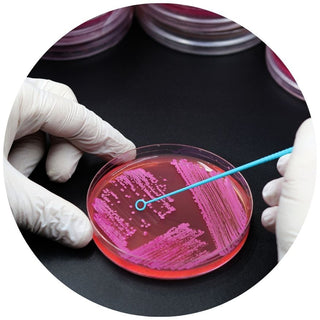 Inoculation Loops