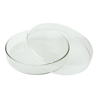 Lincon Petri Dish with Lid Borosilicate Glass